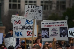 Signs of Protest and Support of 2nd Amendment