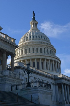 US Capitol Dome - House Steps