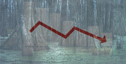 swamp economy